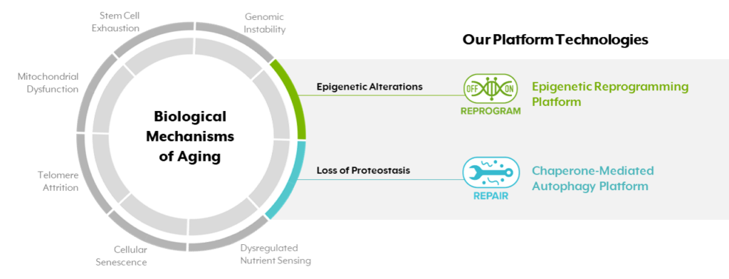 Mechanisms of Aging